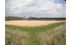 Property photo 7 - 114+/- Acres Offered in 4 Tracts